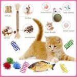 Cats Supplies & Care