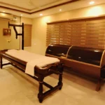 Ayurvedic Clinics