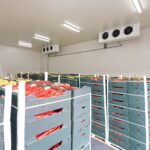 Cold Storage Centers