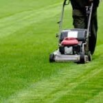 Garden / Lawn Maintenance Services